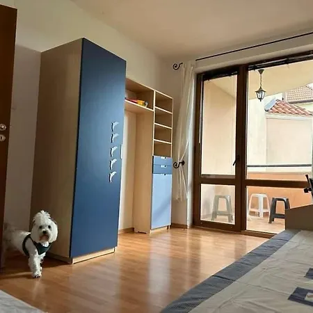 Tania's * 阳光海滩