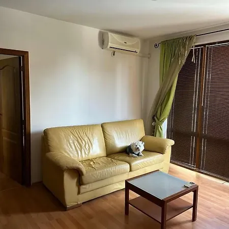 Tania's 阳光海滩